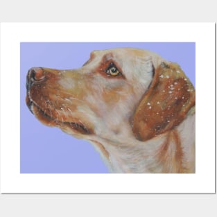 Labrador Retriever Fine Art Painting Posters and Art